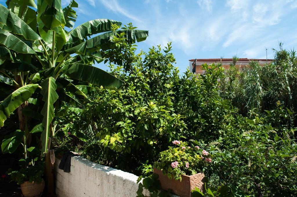 Studios Margarita Petalidi Luaran gambar