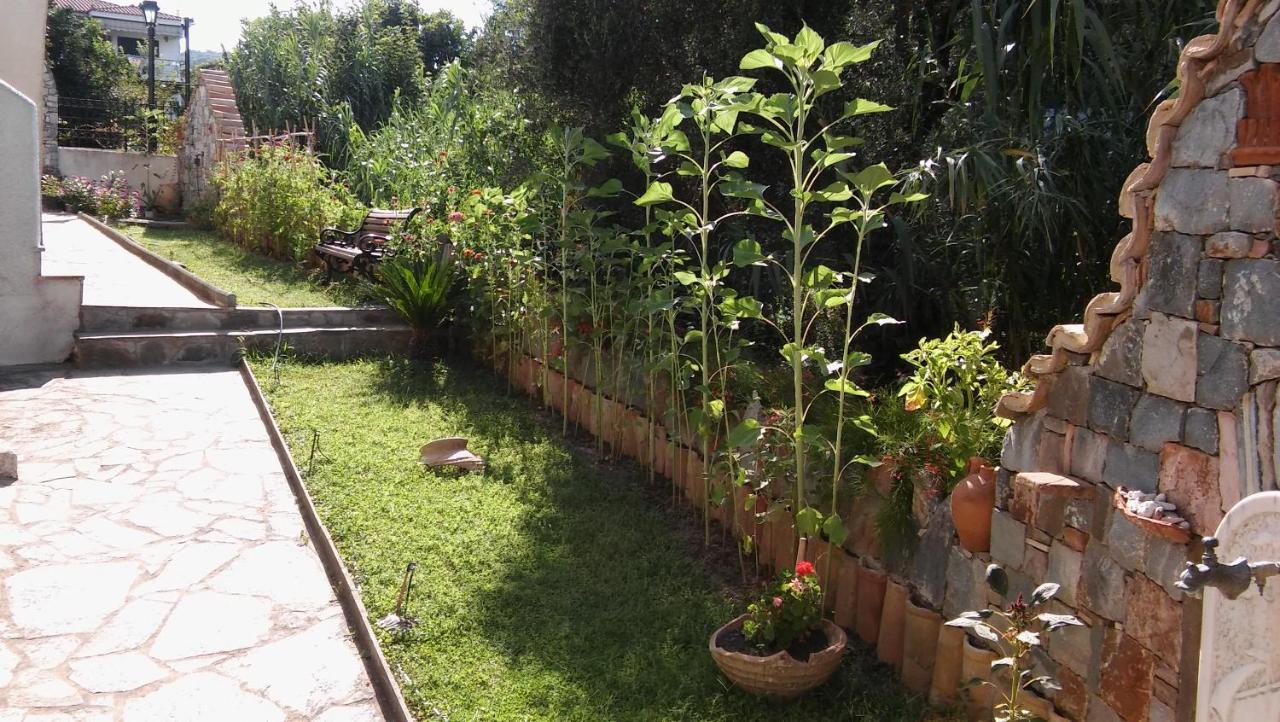 Studios Margarita Petalidi Luaran gambar